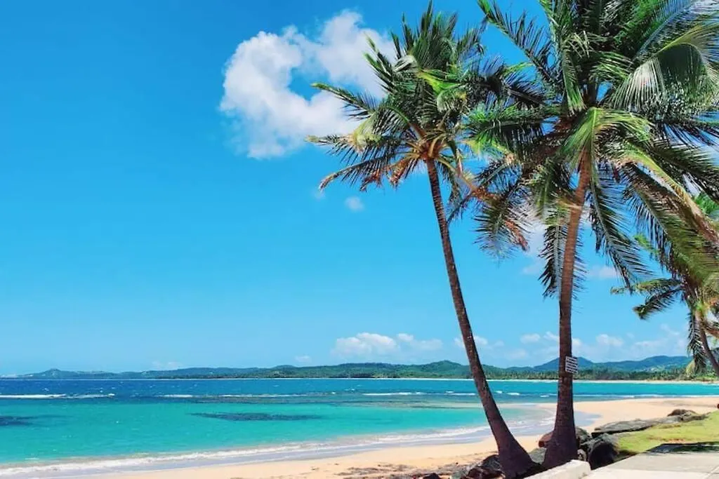 Ocean View 17Th Floor Apartamento Luquillo