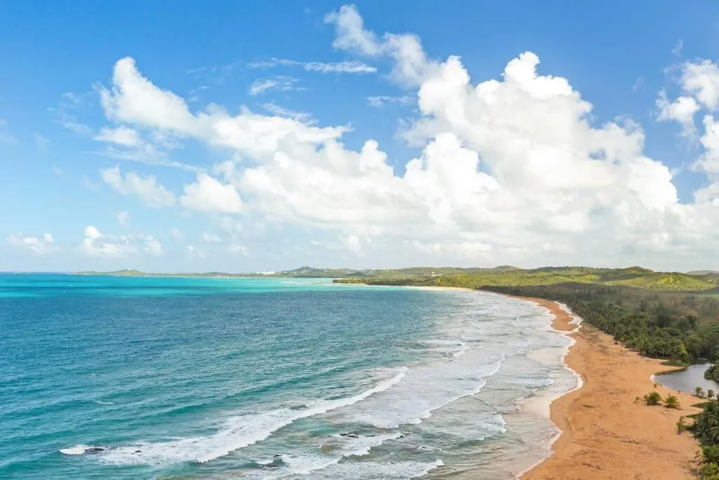 Ocean View 17Th Floor Apartamento Luquillo